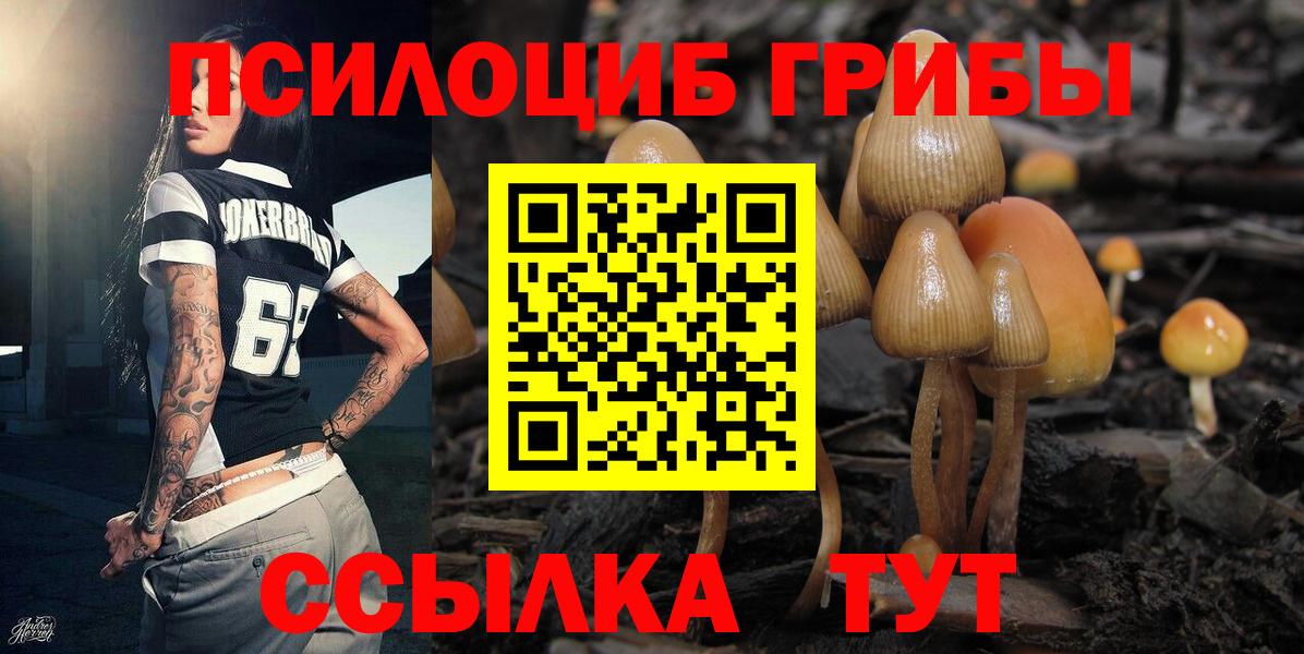 Дюртюли  Галлюциногенные грибы ЛСД  Вход с VPN 